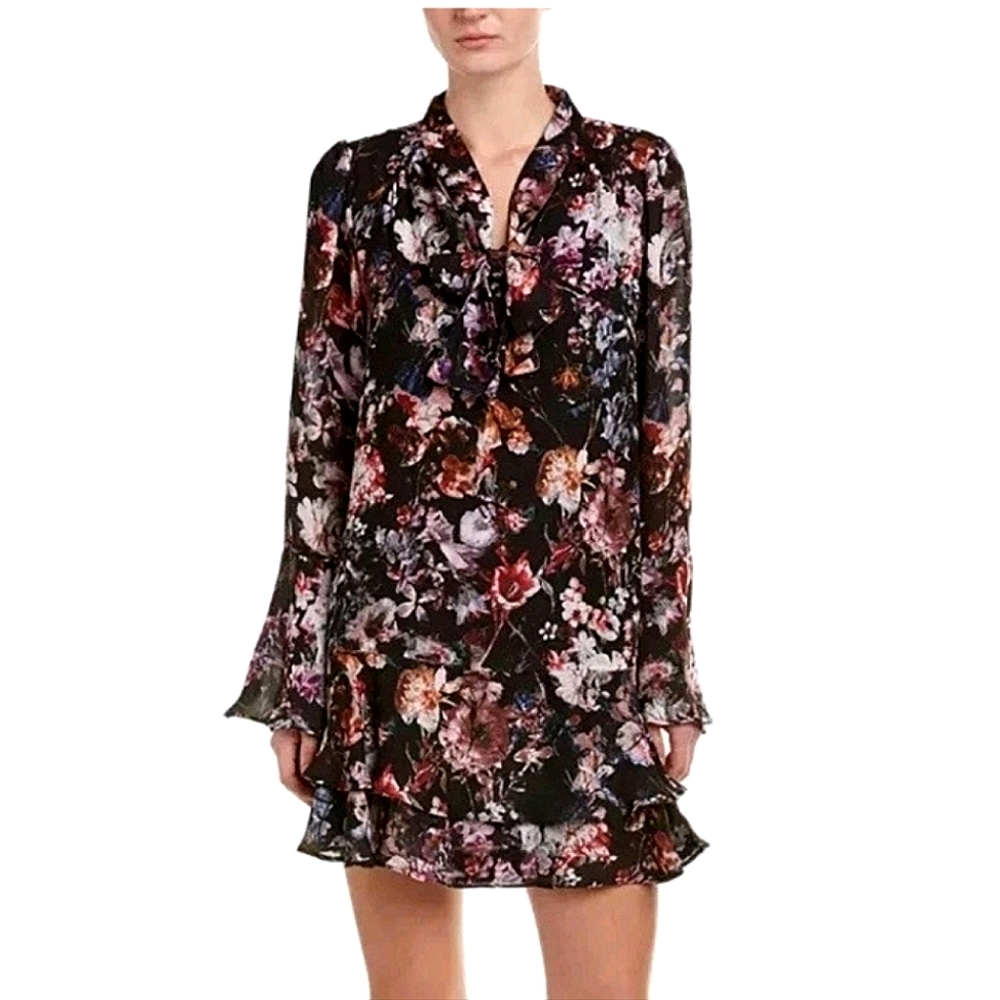 🆕️ Parker Alstro Tie Front Floral Ruffle Dress Large Garden Girl Boho Coquette